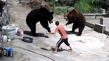 75 Times Animals Messed With Wrong Opponents