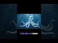 This Animal Can Turn Invisible 😱 You’ve Never Seen This Before