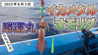 鳥取沖でイカメタルに挑戦！