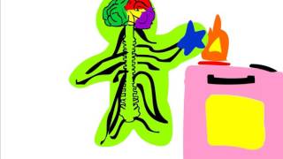 Stimulus and Reaction animation Collab