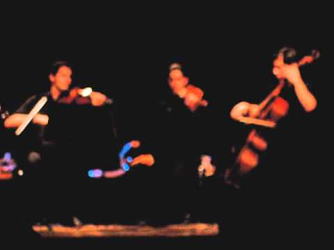 Quarteto "A Cotovia" Allegro (Joseph Haydn)