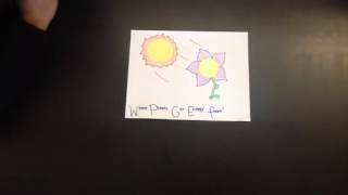 How Cells Use Energy: Animals vs. Plants