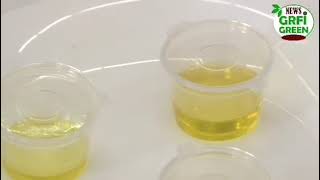 OLEOMED 2026 : DEUXIÈME ÉDITION DU CONCOURS NATIONAL DE LA MEILLEURE HUILE D'OLIVE