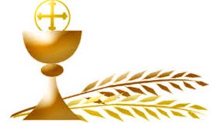 Live Stream of Sanctuary