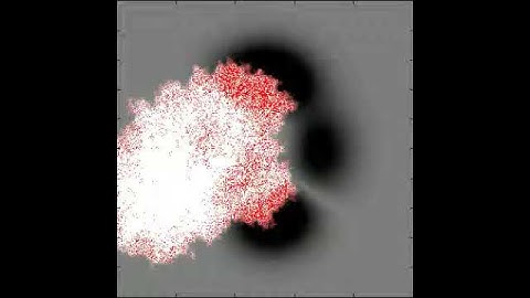IBM for clonal plant (phalanx, 3 links max per node)