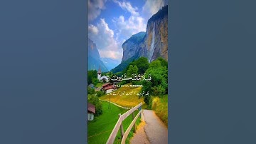 سورة النمل - الآية 62 | #quran #video