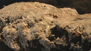 Londons Fatberg Moves From Sewer To Museum