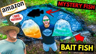 Buying THOUSANDS of Live Fish from AMAZON for my MINI Pond **NEW Pet Fish ATE THEM ALL**