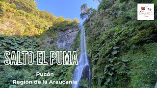 SALTO EL PUMA, PUCÓN SECTOR EL PALGUIN, IX REGIÓN, CHILE