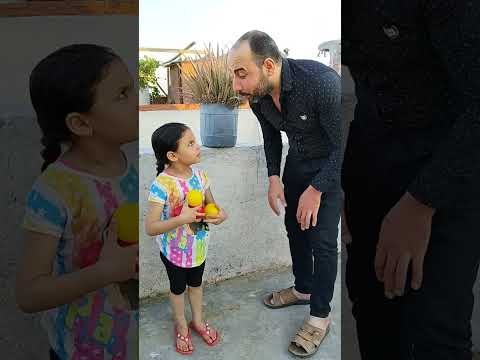 بابا ماما افوكادو والكور الجميله