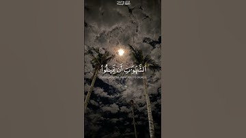 القارئ ياسر الدوسري