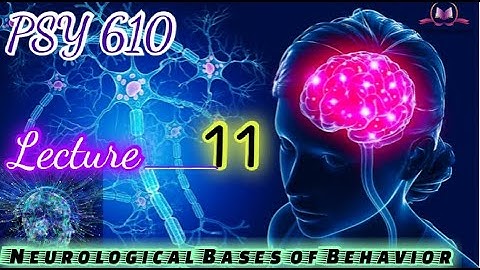 PSY610 || Lecture 11 || Neurological Bases of Behavior || Short Lecture || VU Lectures