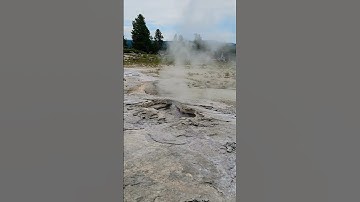 Yellowstone Hydrothermal Vent