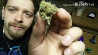 Hotboxing the RV