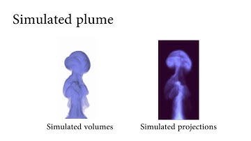TomoFluid: Reconstructing Dynamic Fluid From Sparse View Videos