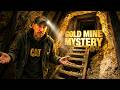 Reed Gold Mine: U.S. Gold Discovery 🪙