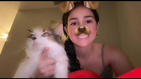 AP Stats Midterm Review 2025 - Mosaic Plots and Histograms - Maya Wall and Ila Ford (Pd 4)