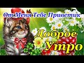 Доброе Утречко🌞 Позитива и Добра! Замечательного Дня! Мой Приветик для Тебя🤗