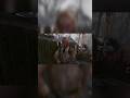 Саввка, нормальный был пацан #сталкер #stalker #stalkergamma #stalkergame