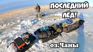 картинка: Такой клёв бывает только здесь! Последний лёд! Озеро Чаны! #карась #чебак #чаны