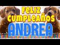 ¡Feliz cumpleaños Andrea! (Perros hablando gracioso) ¡Muchas felicidades Andrea!