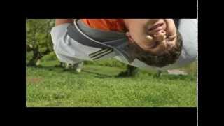 Ashtarak Kat 2011 Fat Boy By Status Holding