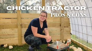 Should You Use a Chicken Tractor? | Moving Baby Chicks Out of the Brooder