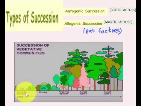 AUTOGENIC AND ALLOGENIC SUCCESSION - YouTube