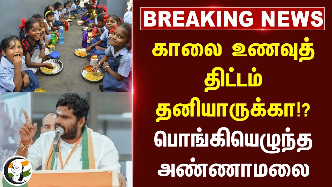 #breakingnews : Morning Beakfast Scheme தனியாருக்கா!?பொங்கியெழுந்த Annamalai | MK Stalin | TN Govt