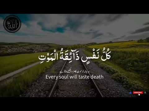 Kullu Tilawat😔😔❤💔