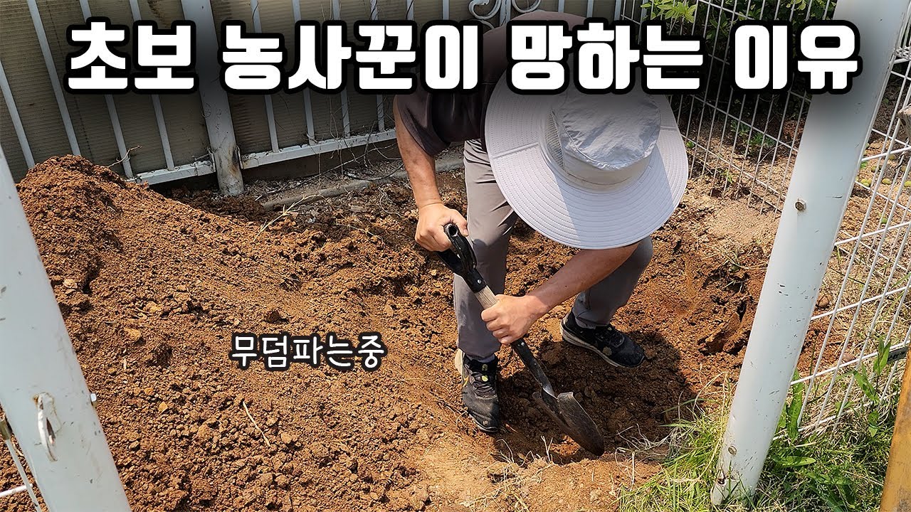 귀촌의 암담한 현실... 하나씩 죽어가고 있네요