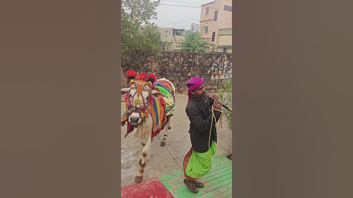 One month to sankranti.. Celebrations already started #villagelifestyle #sankranthi #villagelife