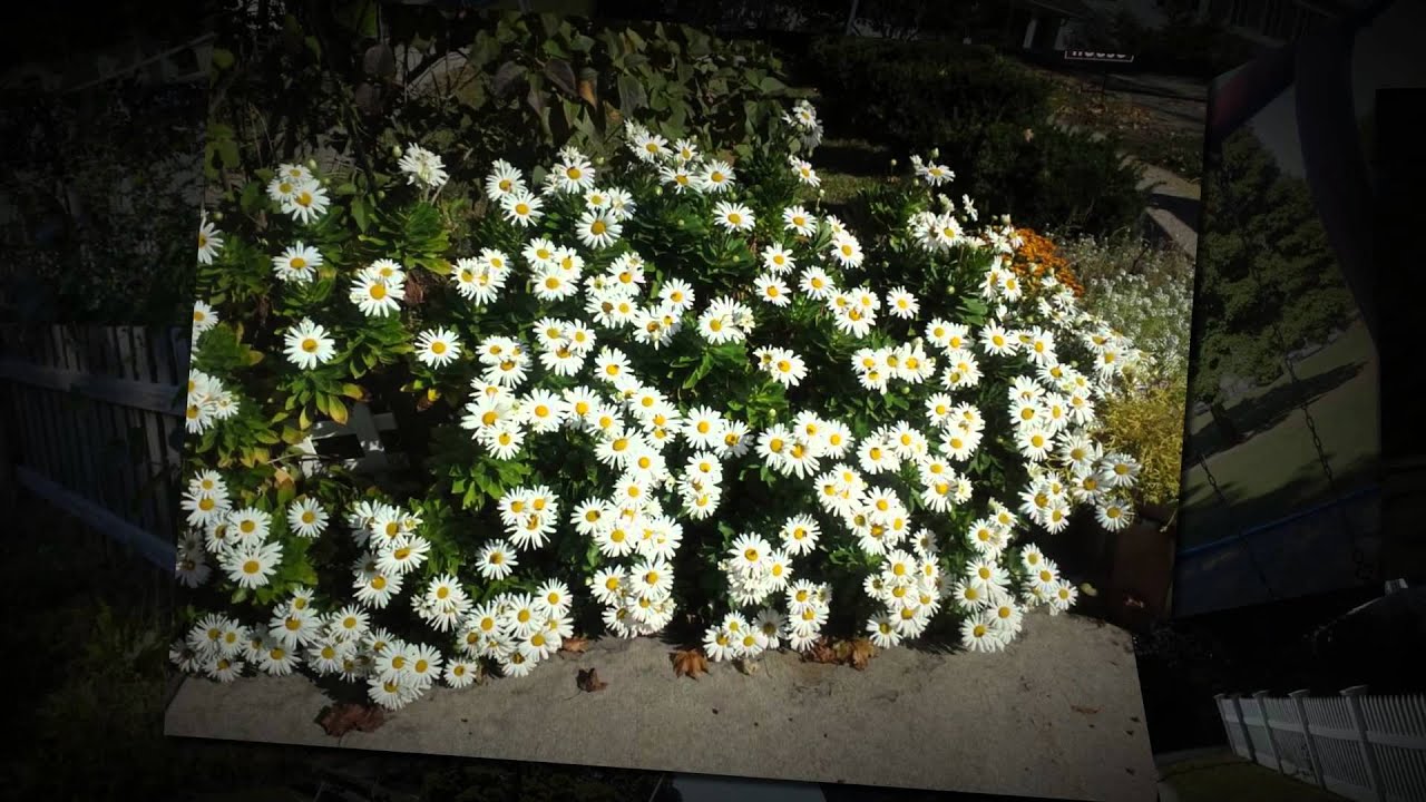 Dobbs Ferry, New York part 1 YouTube