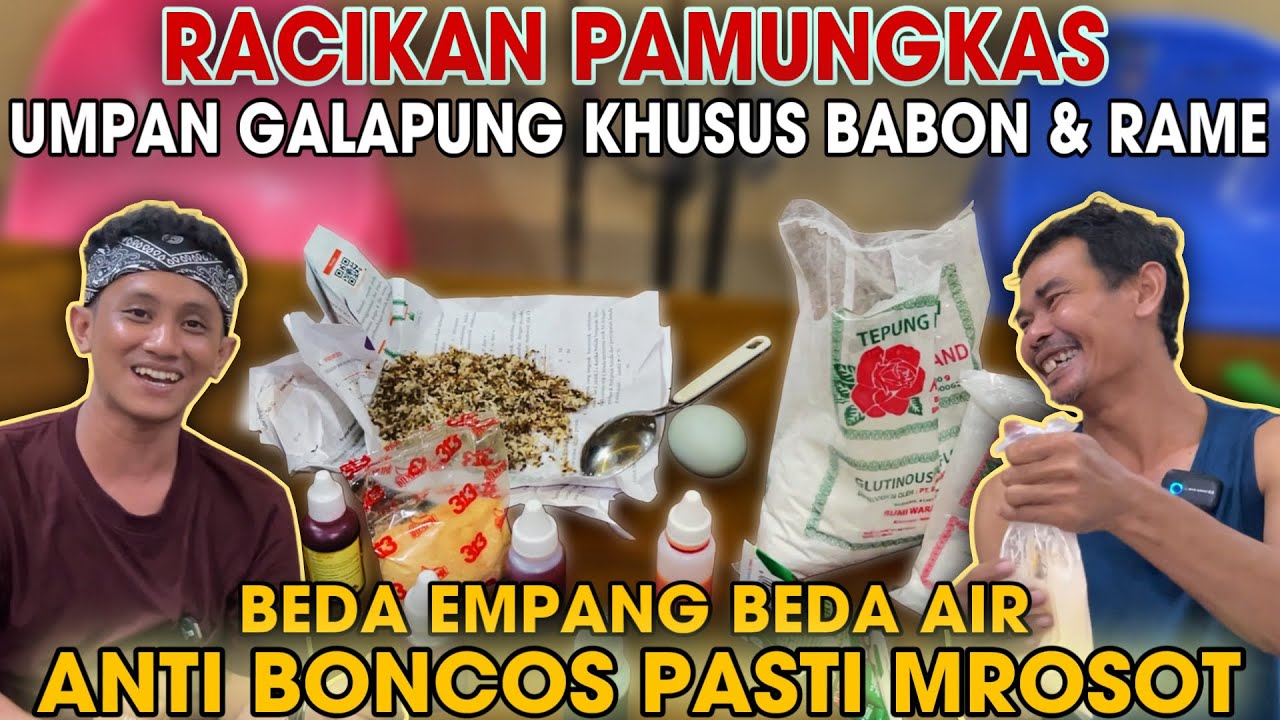 RACIKAN UMPAN PAMUNGKAS IKAN MAS UMPAN GALAPUNG KHUSUS BABON dan RAME PASTI MROSOT ANTI BONCOS