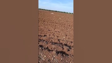 لحظه من فظلك اسمع ايات من سورة ال عمران بصوت الشيخ محمد الفقيه