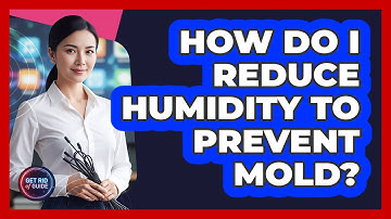 How Do I Reduce Humidity To Prevent Mold?