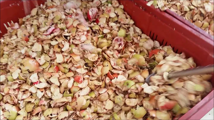 Pomegranate Production Line - PULEO