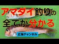 アマダイ釣りのすべてが分かる の動画、YouTube動画。