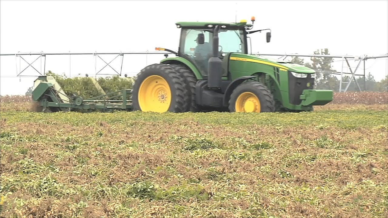 Budgeting Assistance Available For Farmers If Needed - YouTube