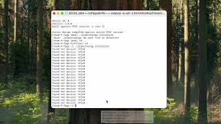2025SPring USC EE533 Lab6  Part2   Test the bitfile on netFPGA
