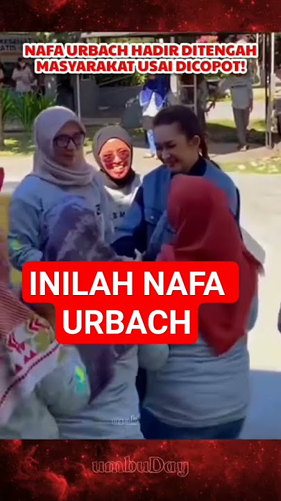 inilah Nafa Urbach usai di copot dari jabatan nya #trendingshorts #trending #shortvideo