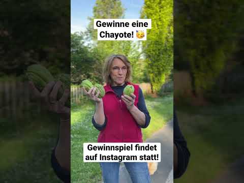 Video: Coneflower Care - Lila Sonnenhut anbauen und pflanzen