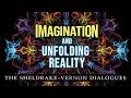 Imagination and Unfolding Reality: Sheldrake-Vernon Dialogue 53