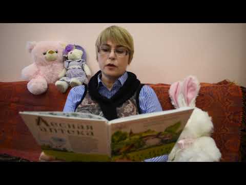 Сказки вслух. Тамара