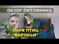 Обзор питомника попугаев Парк Птиц Воробьи.