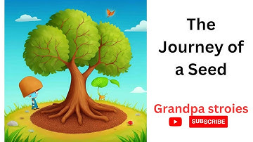 The Journey of a Seed..😊😊😊😊😊😊