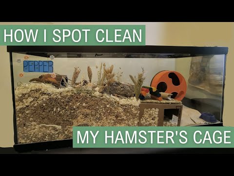 How I Spot