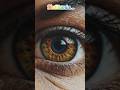 #eyesexpression#eyeanatomy#virtualreality#eyesecreats