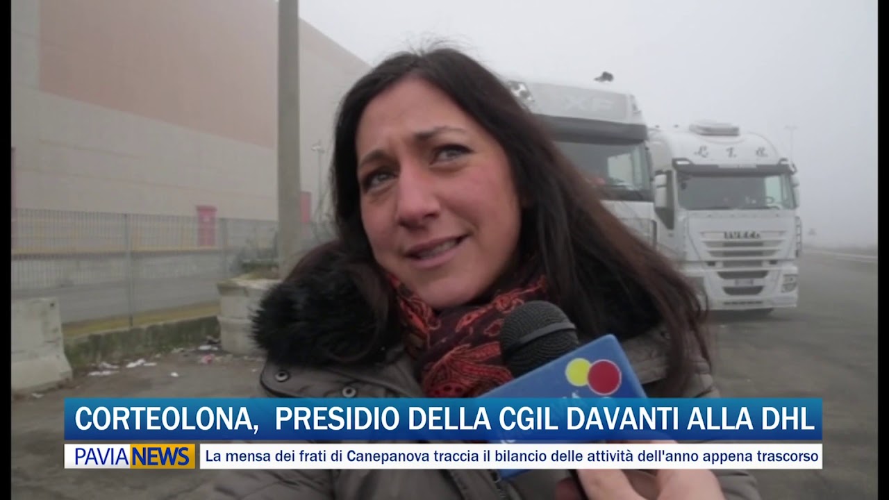italian greyhound PAVIA NEWS - 8 gennaio 2019