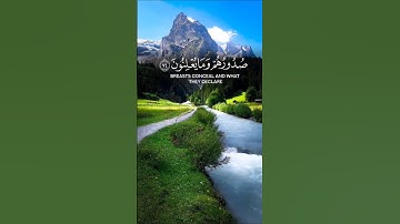 وَإِنَّ رَبَّكَ لَذُو فَضْلٍ عَلَى النَّاسِ وَلَٰكِنَّ أَكْثَرَهُمْ لَا يَشْكُرُونَ | قرآن كريم